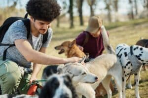 Pet sitters with dogs